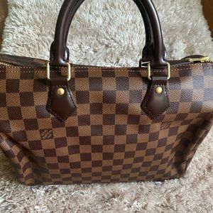 Louis Vuitton Speedy 25 Bag